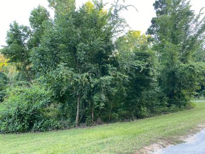 01 White Oak Drive
