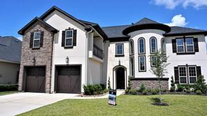 26006 Carolina Cherry