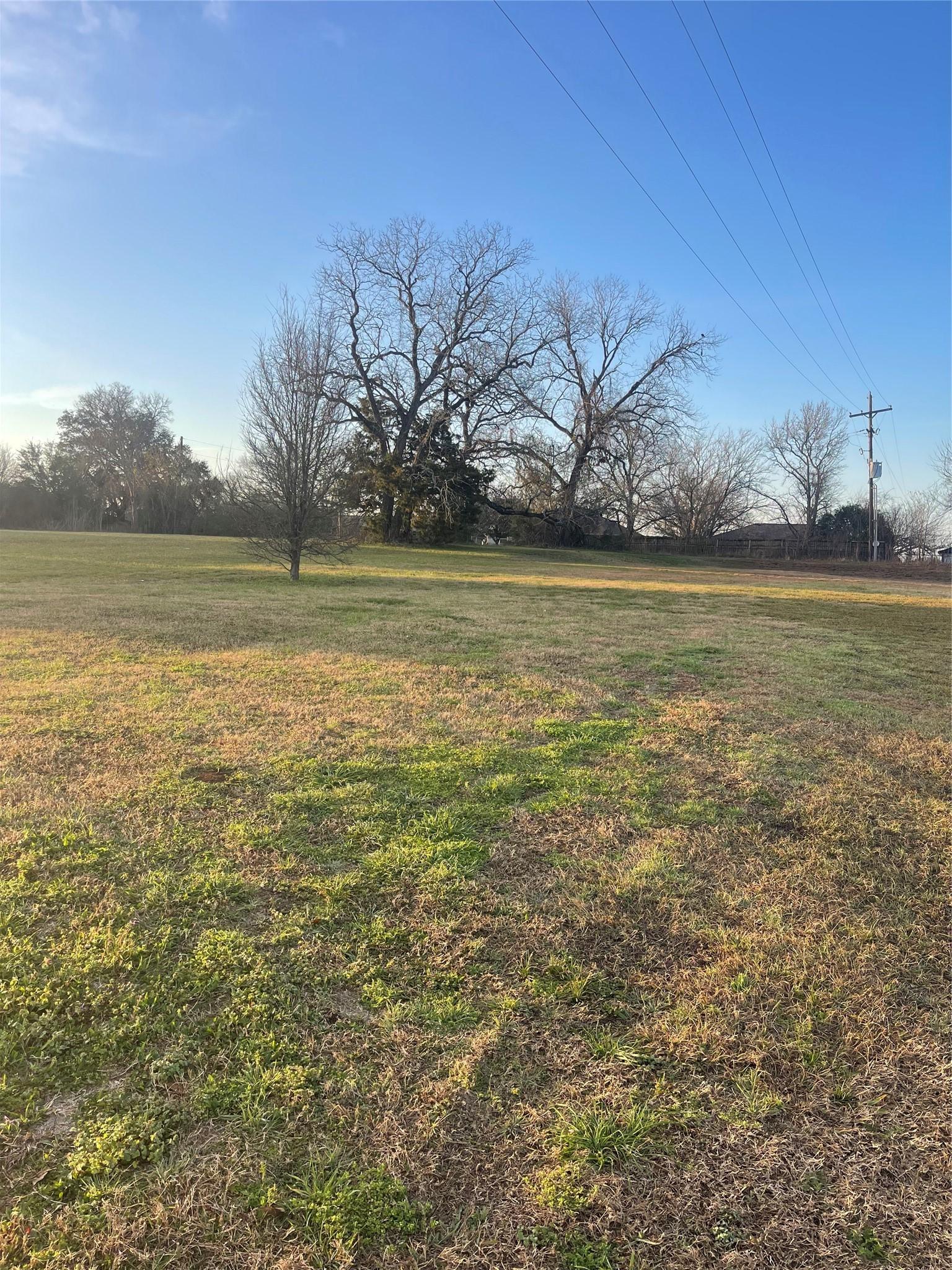 Image 4: View to The Back of the Property
