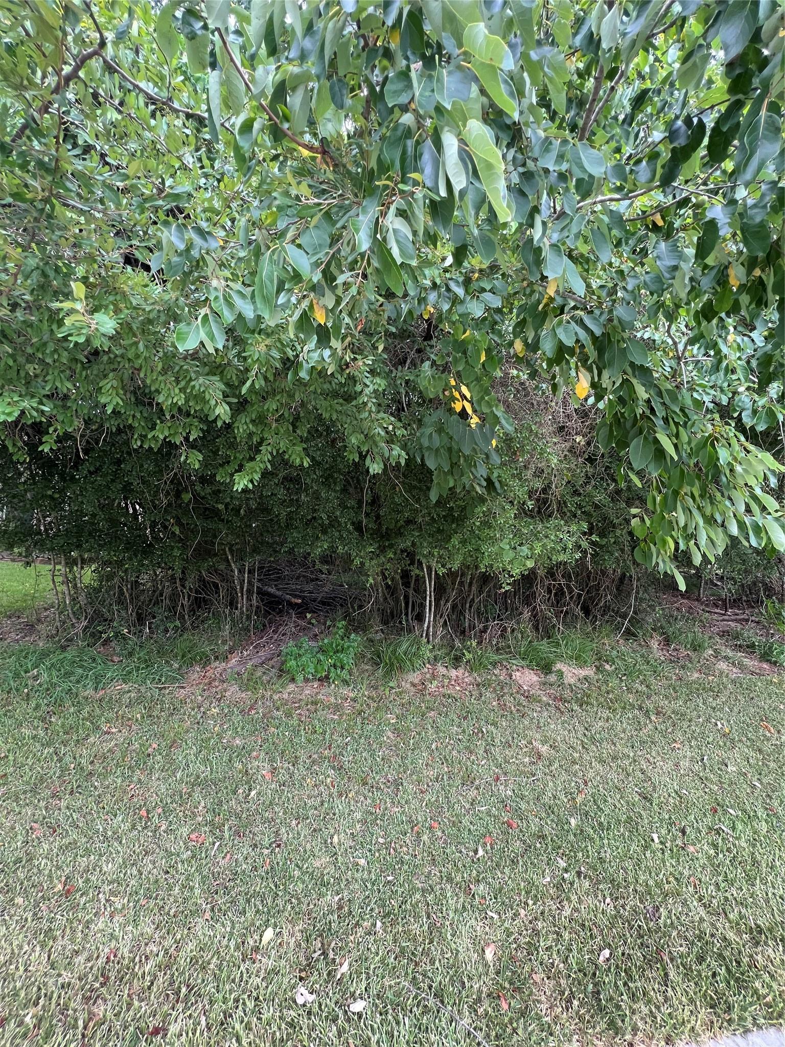 Image 2: 9700 Sq Ft Level Lot.