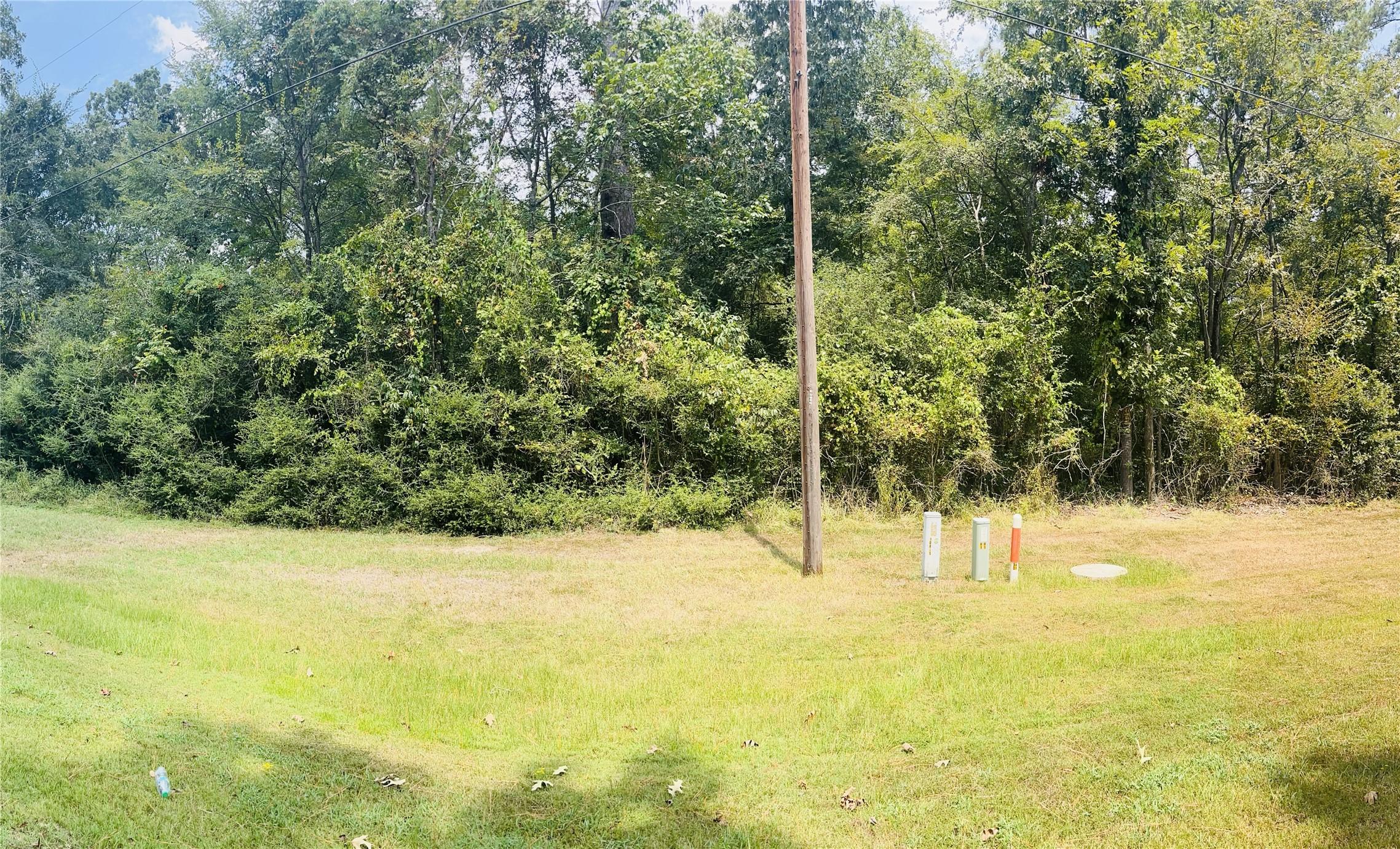 Image 3: Front view of wooded lot with level terrain and li