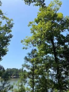 400 Ridgewood Trail