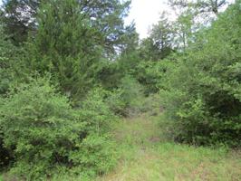 Lot 5 PR 5746