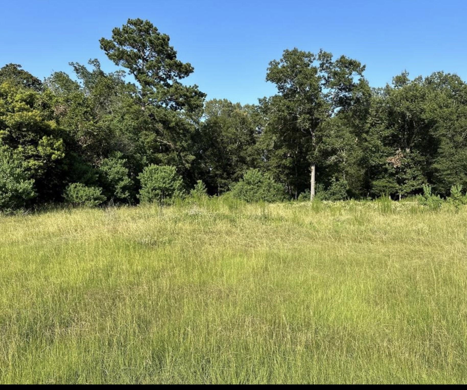 Image 3: Large lot