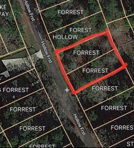 0 Forest Hollow