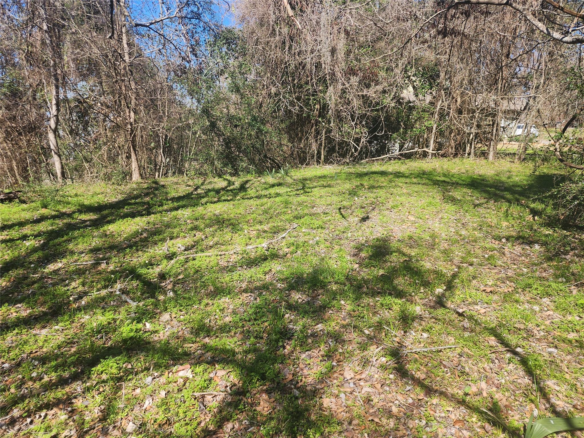 Image 2: Another view of the top of the lot.