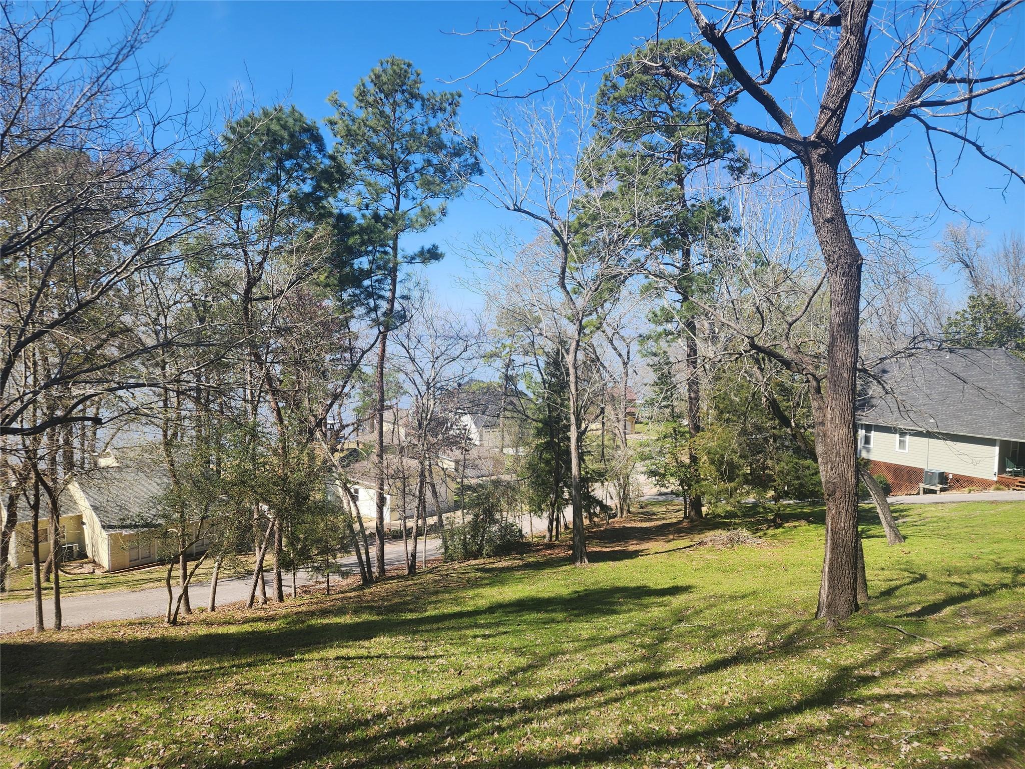 Image 3: This is the lower edge of the lot.
