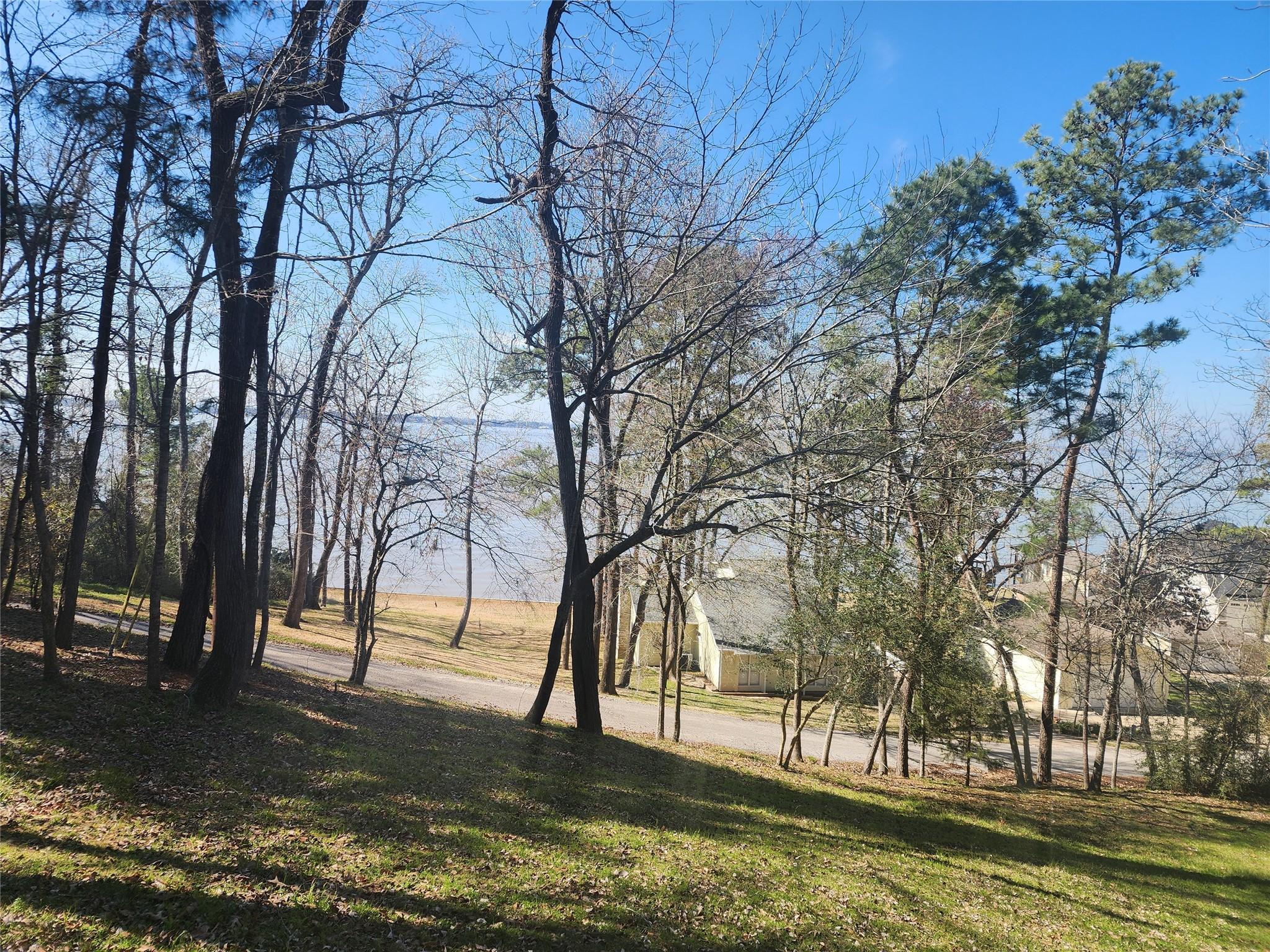 Image 4: A view of the lake from the lower edge of the lot.