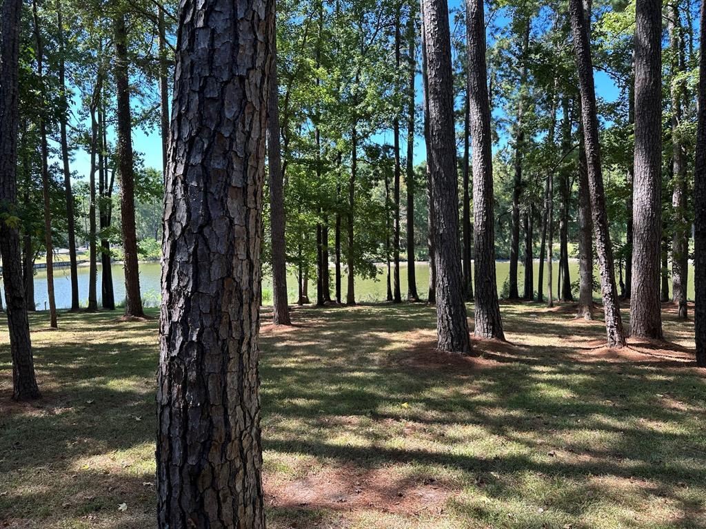 130 Villa Way, Coldspring, TX lhrmls01975210