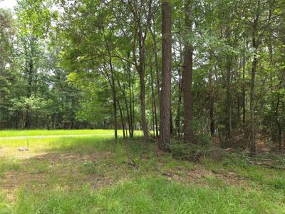 TBD Loper Lake Drive