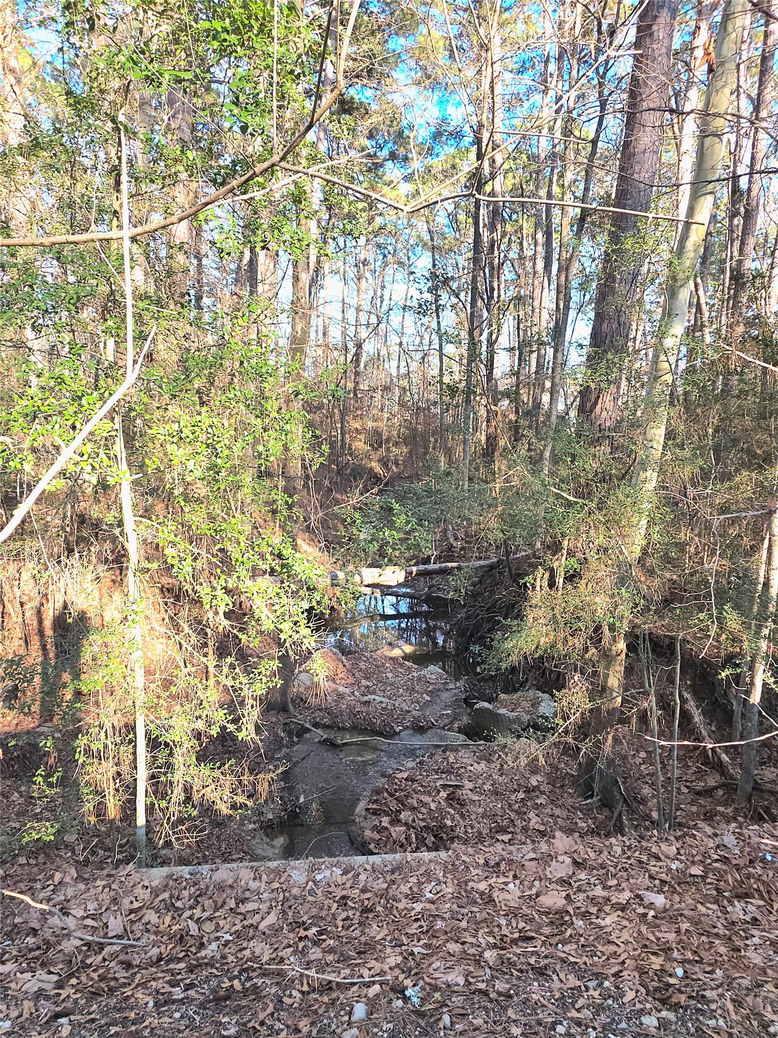 Image 1: Creek at the left side of the lot