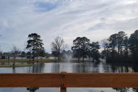 TBD Water Oak