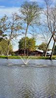 Lot 9 Coolcrest Drive