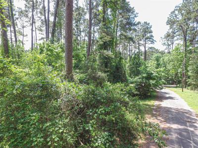 TBD Grand Pine rd