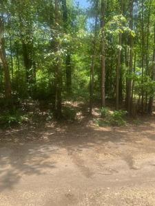 Lot 437 & 438 Hidden Circle