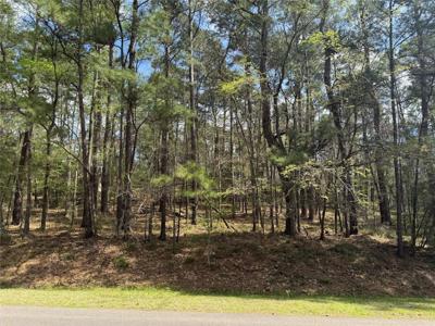 107 Green Tree Drive