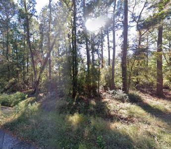 TBD Parkview Dr Drive