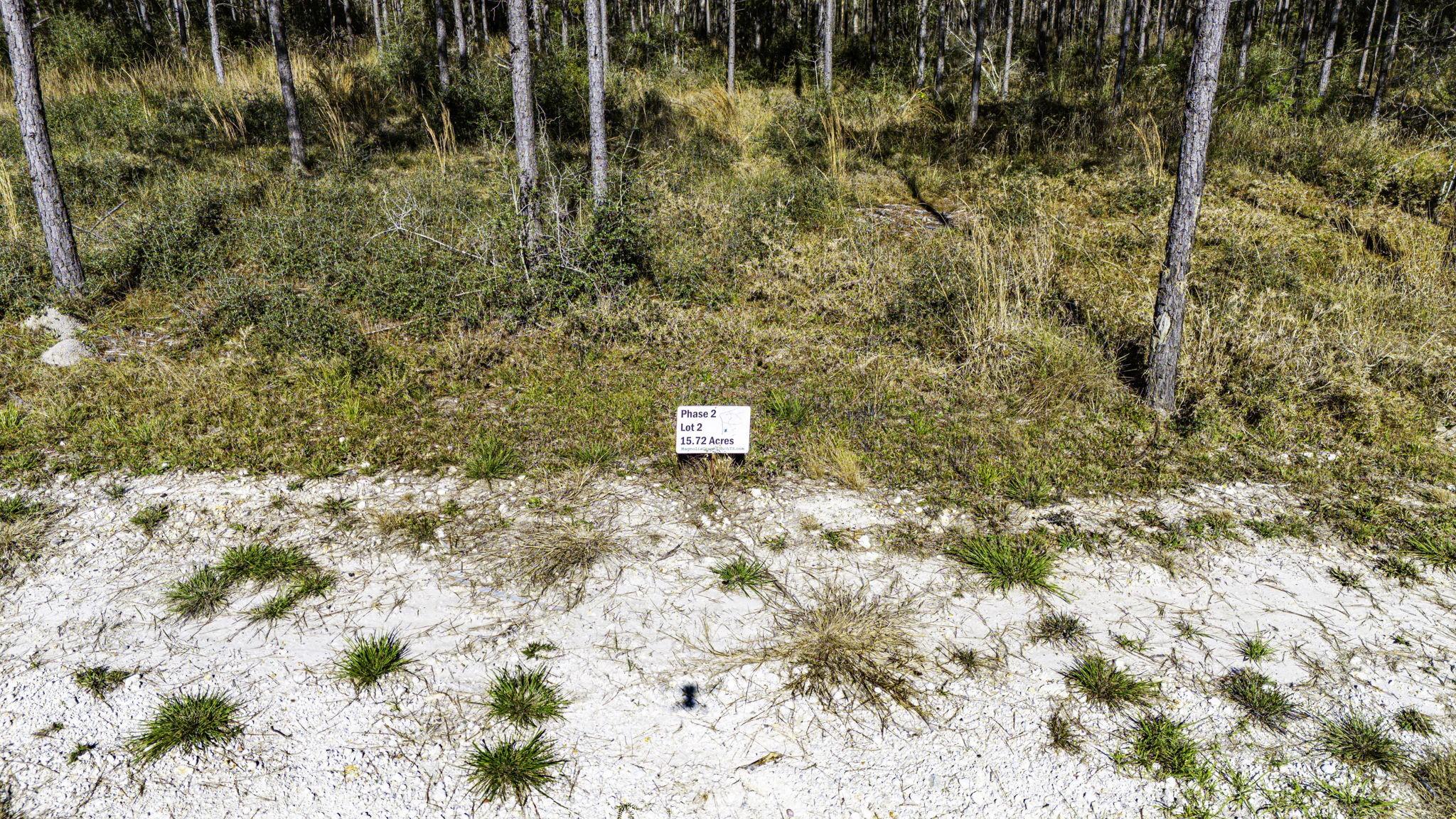 Image 3: Phase 2 Lot 2
