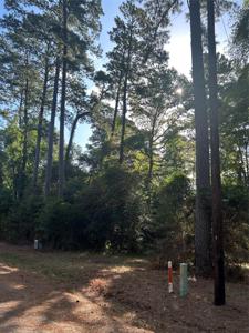 303132 Oak Pine Drive