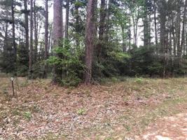 Lot 512 Pine Shadow Drive