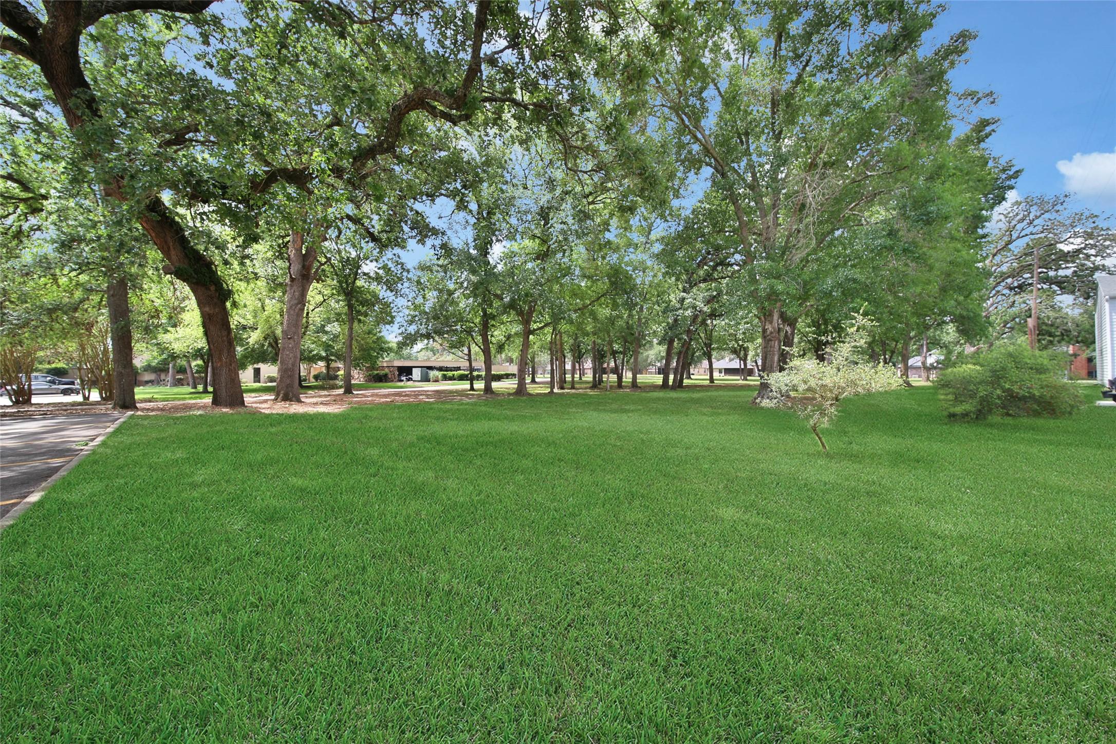 Image 4: Enjoy a spacious, lush green lawn with mature tree