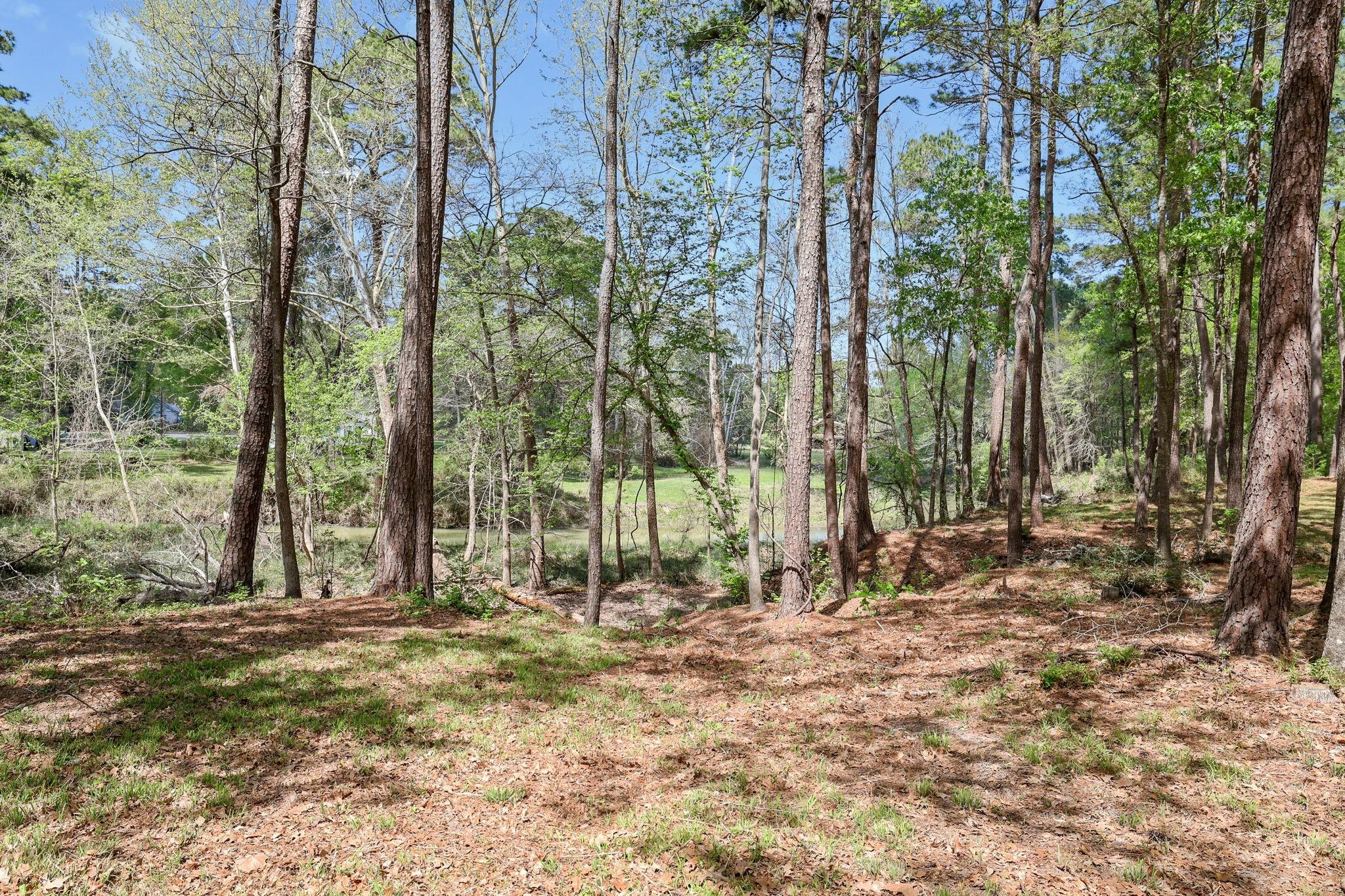Image 3: Meander down to the creek at the back of the lots