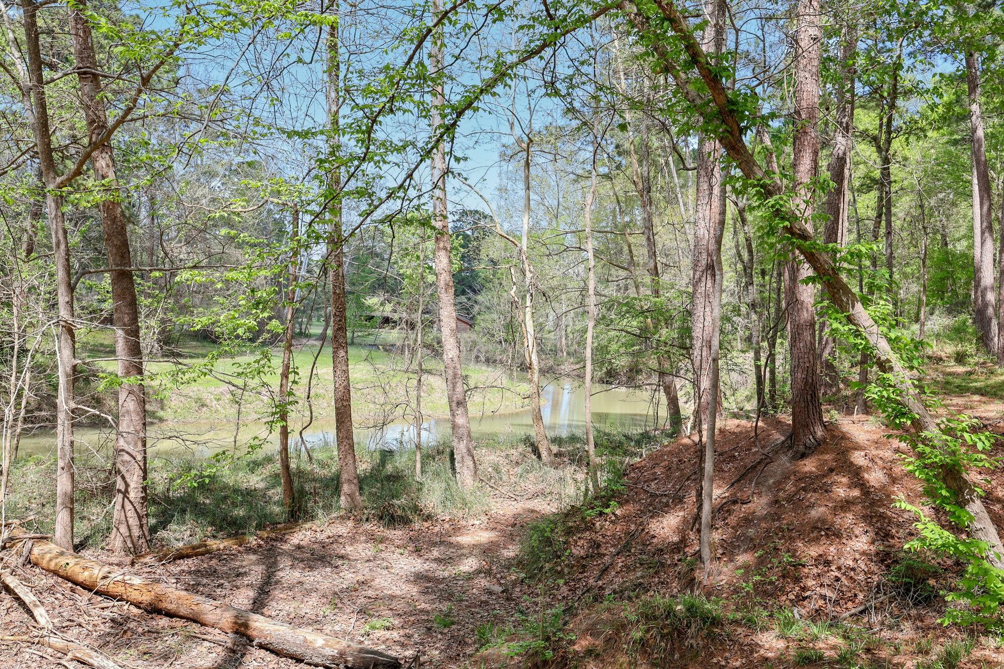 Image 4: Stephen Creek flows along the back of the lots