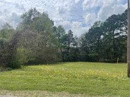 00 Lakeview Drive Loop