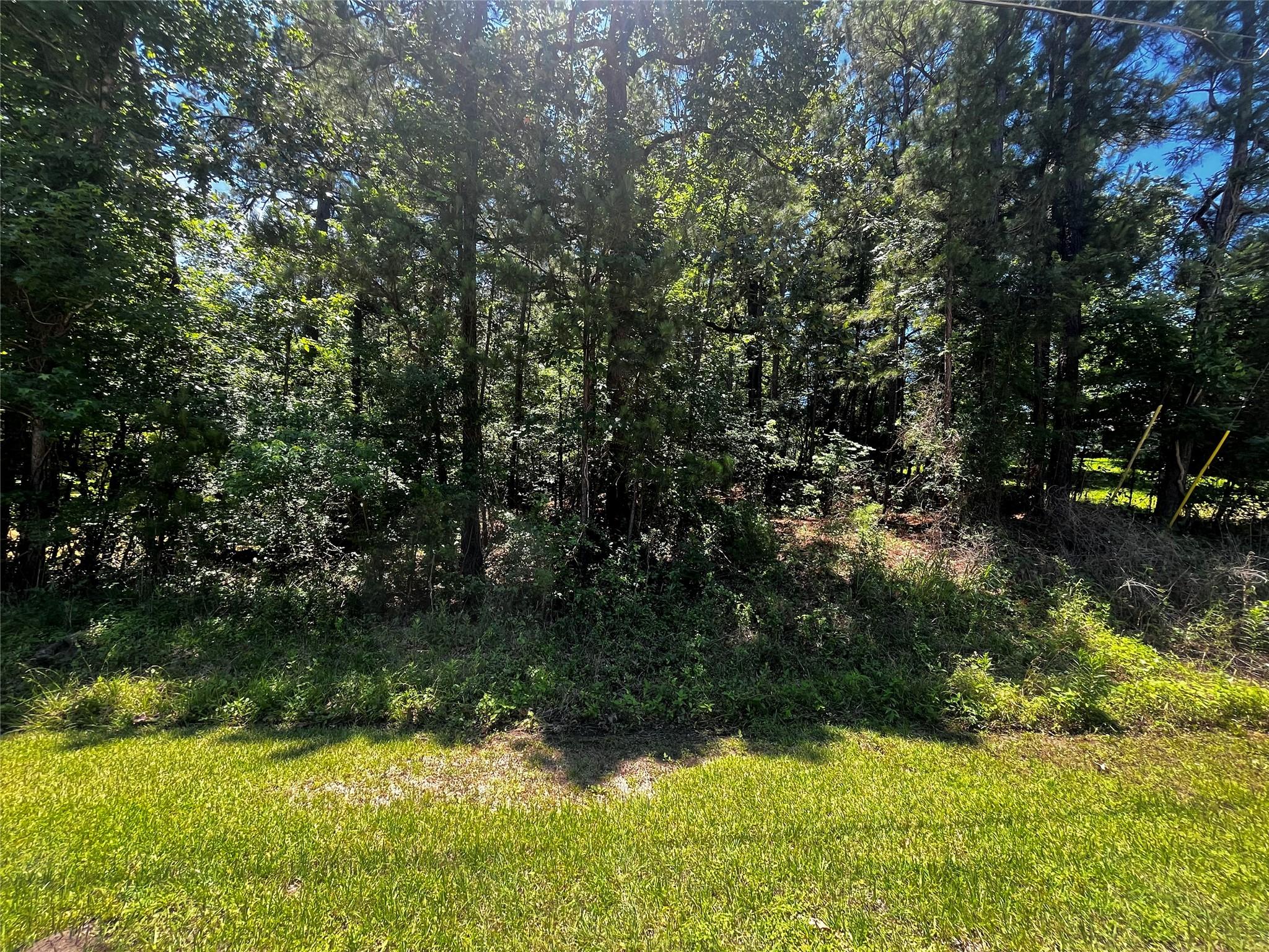 Image 2: 0.18 ACRES