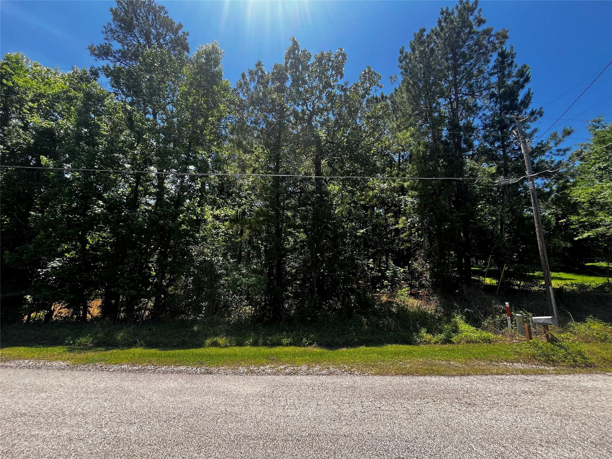 Image 3: Interior Lot