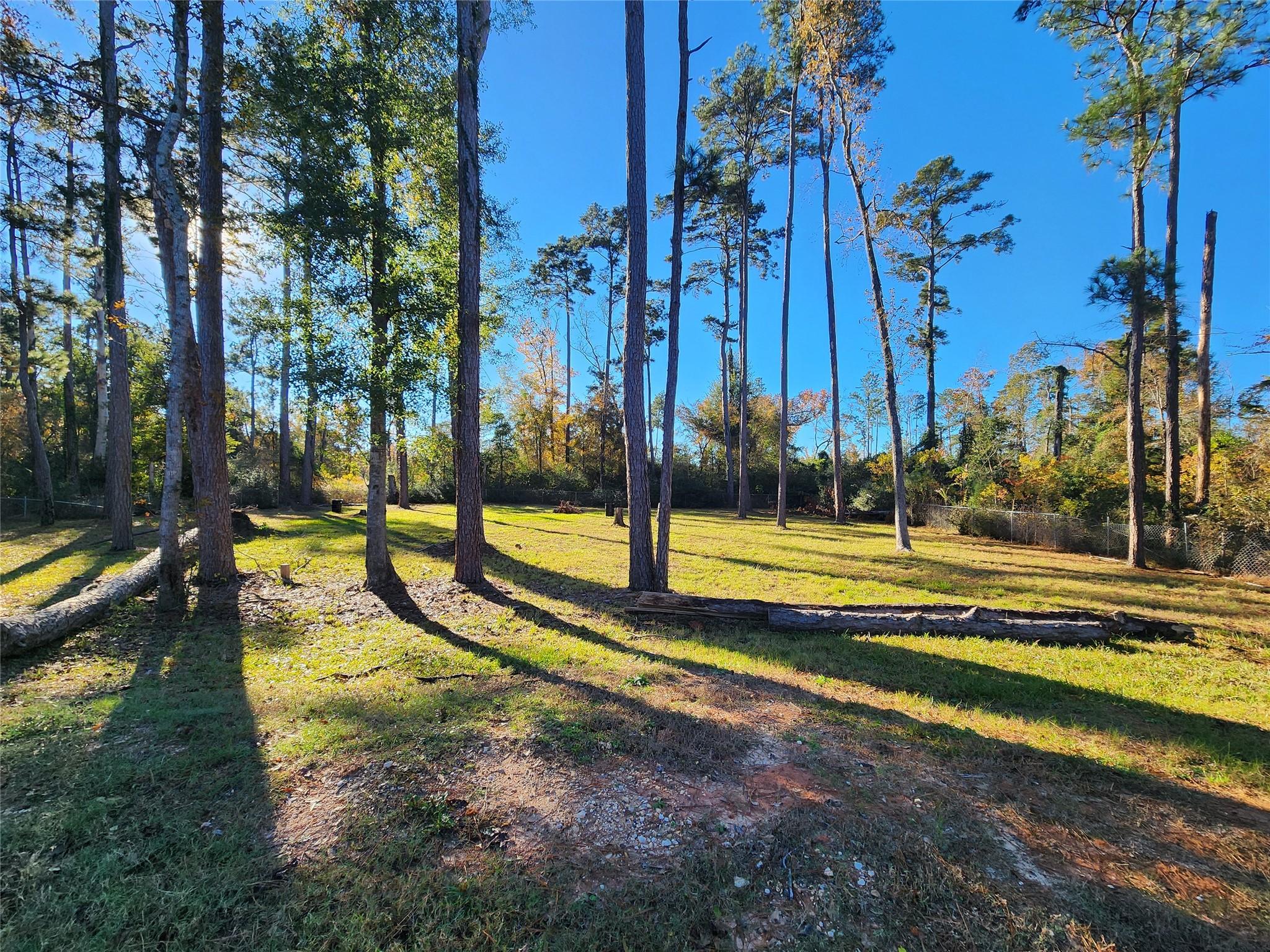 Image 1: A serene, wooded lot with tall trees and a clear,