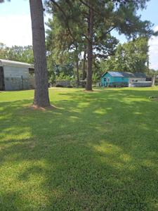 387 Davenport Drive