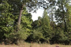 TBD Kingwood Dr