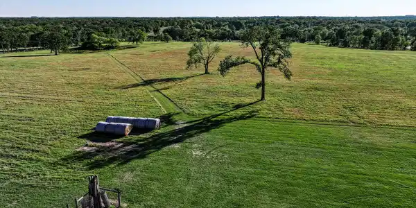 Image 4: An improved bahia and bermuda hay pasture yields a
