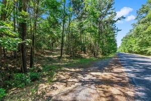 TBD Paradise Drive