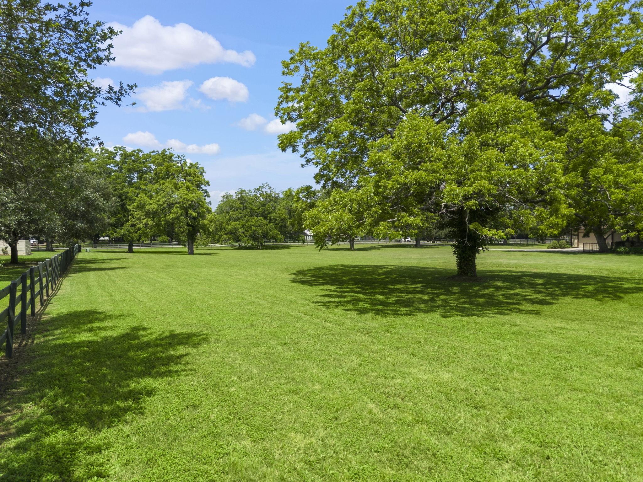 Image 4: Expansive, lush green lawn with mature trees offer
