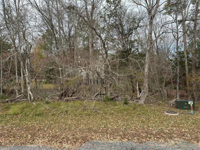 Lot 100 Elm Cove Circle