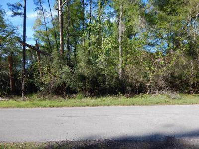 000 Pin Oak Lane