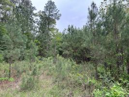 1 ac East Lake Dr