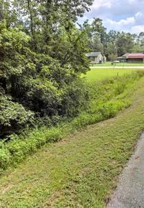 000 Black Bear Drive