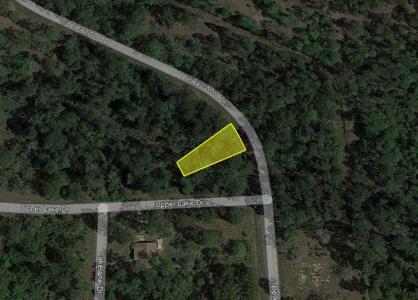 00 Belleau Wood Drive