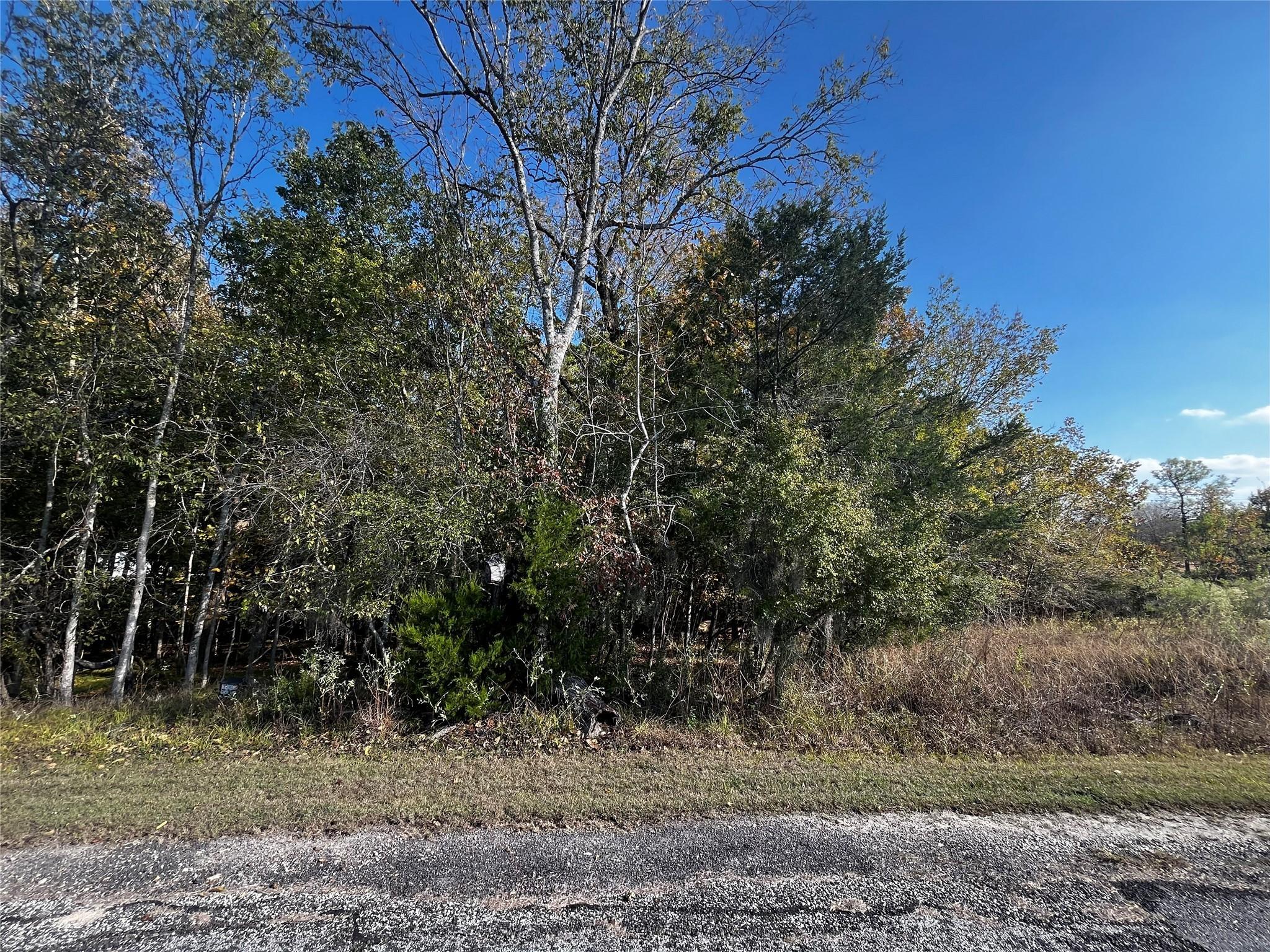 Image 3: 0.2412 Acres