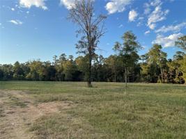 TBD Farm Road 3126