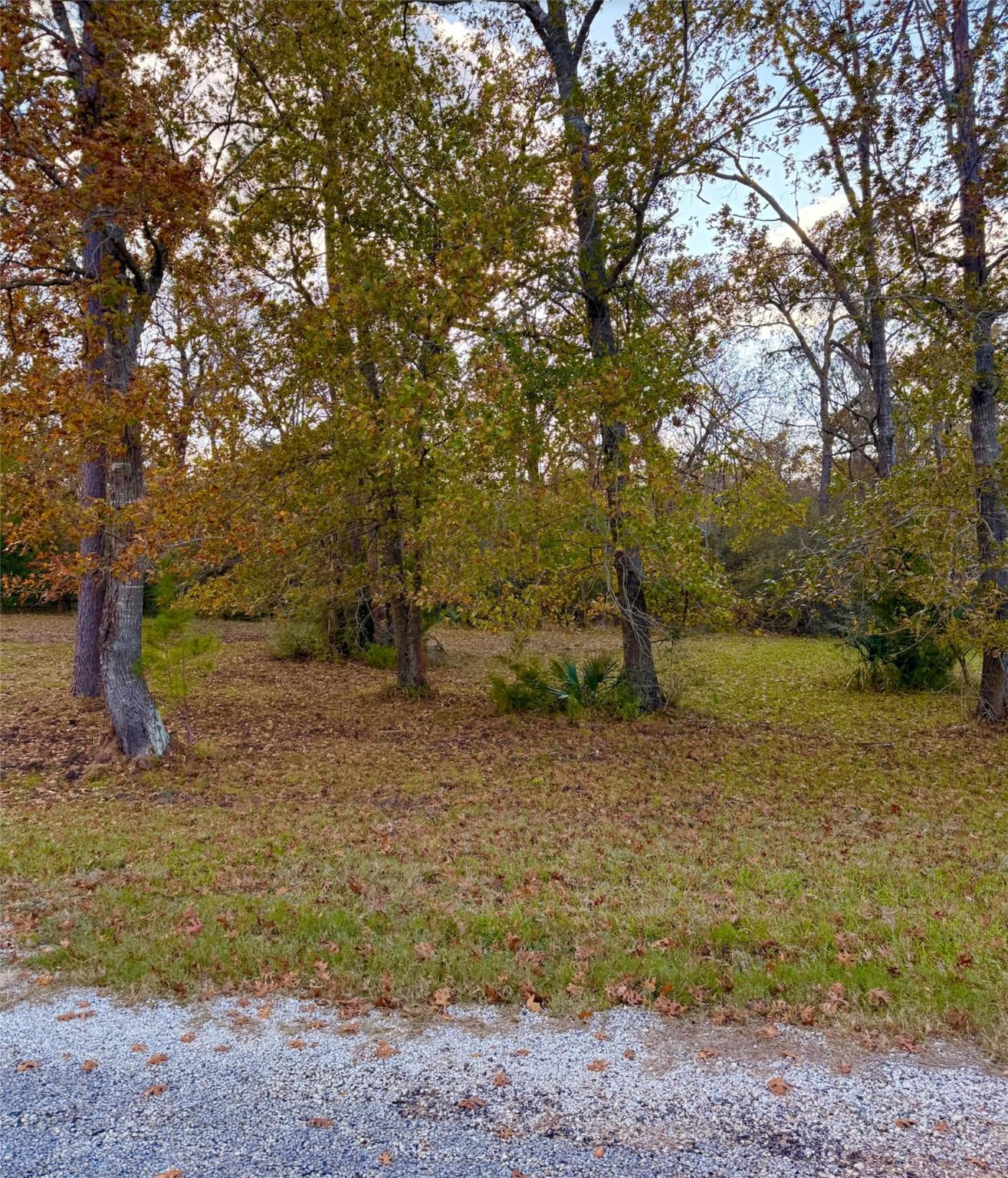 Image 2: Gorgeous lot across the street from the water and