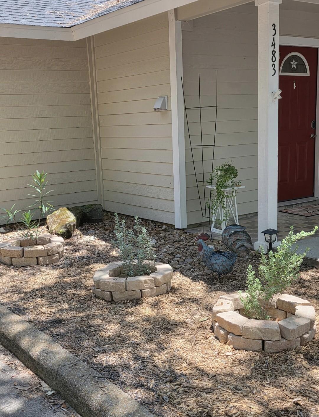 Image 3: New foliage freshly planted to bring out curb appe