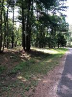 0000 Chain Road
