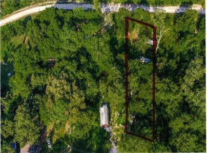 Lot 94 Gorilla Gorge