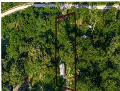 Lot 93 Gorilla Gorge