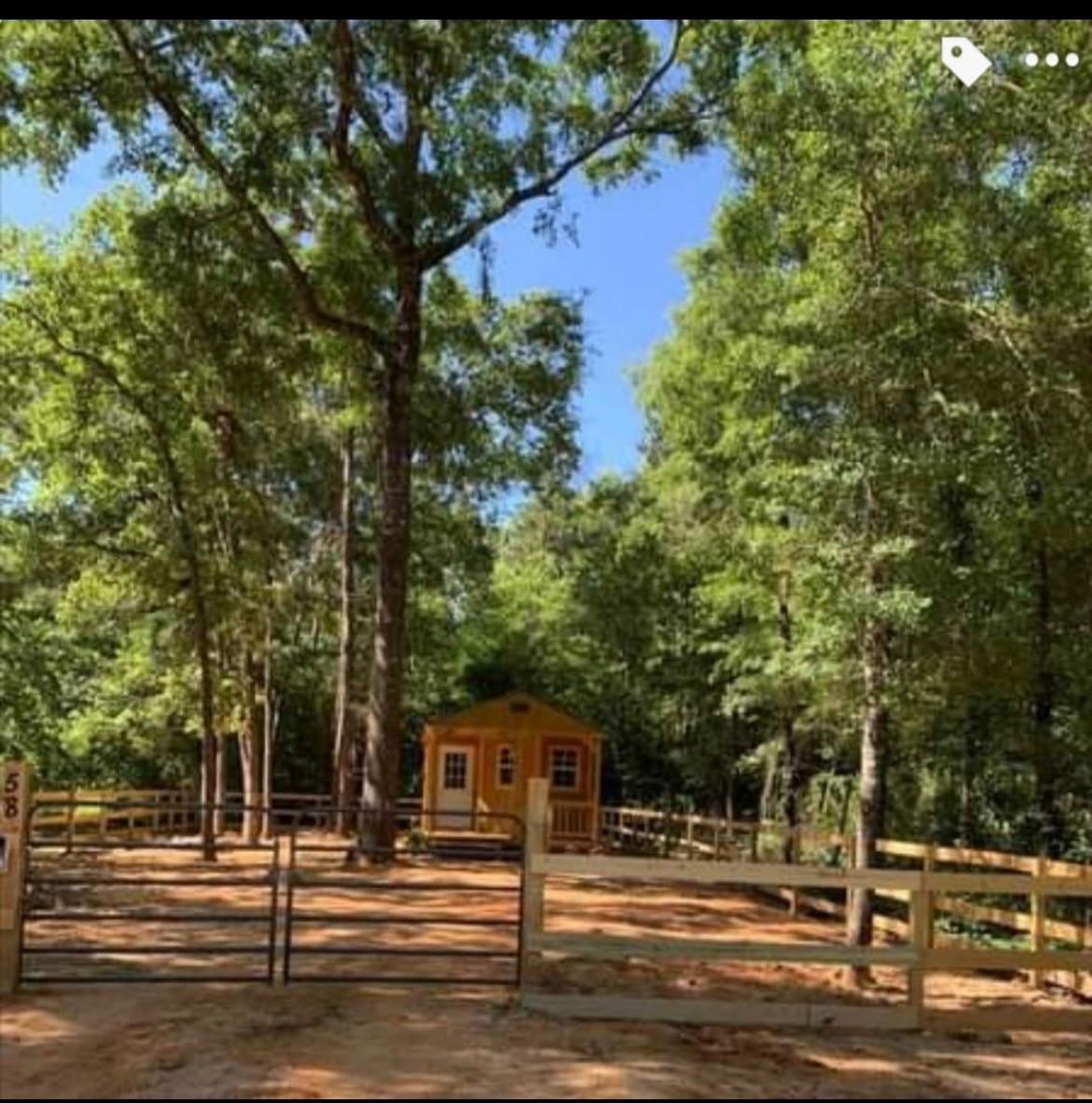 Image 1: View of tiny home from front yard