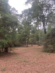 TBD Oak Pine Drive